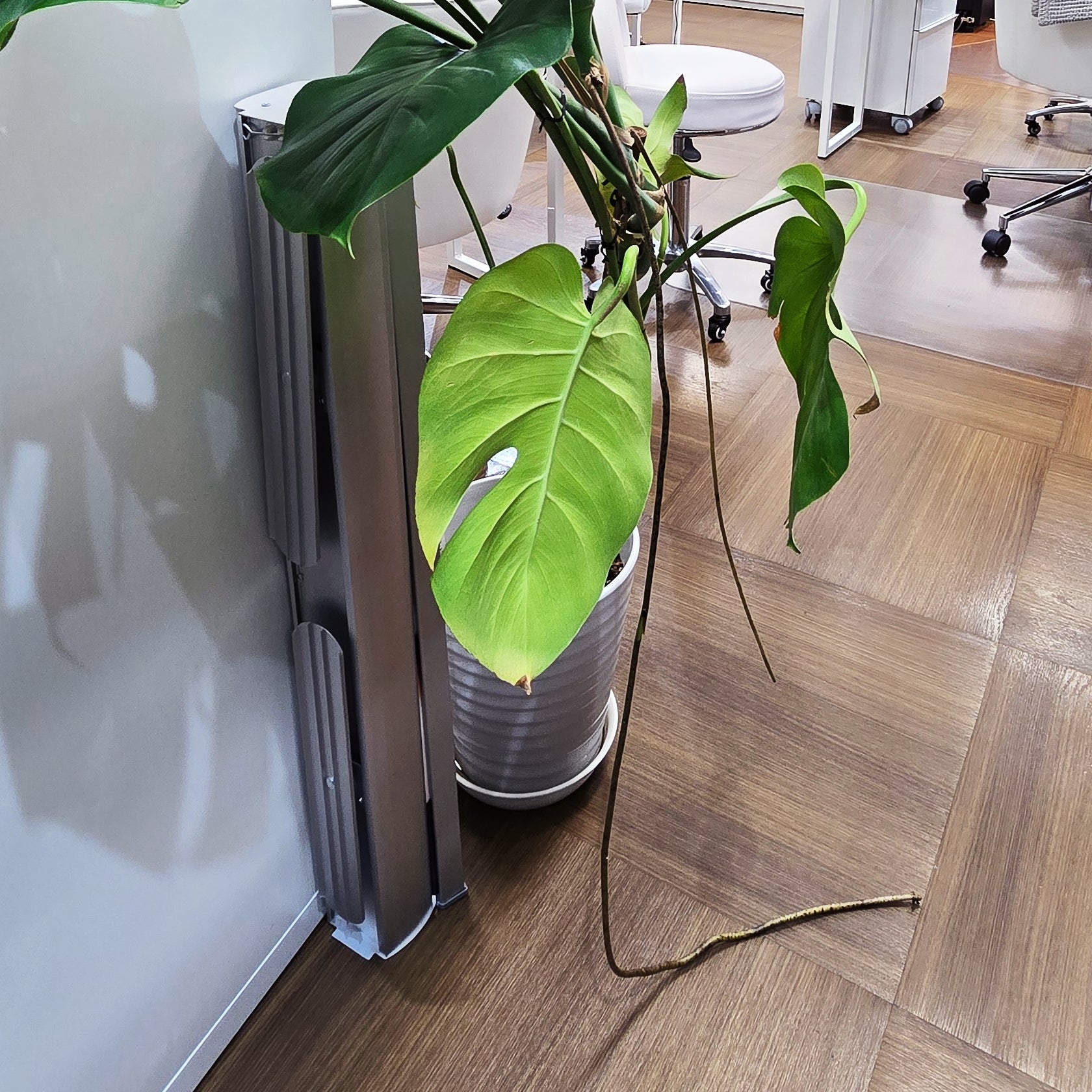 BONDIST Introduction Seminar Kit