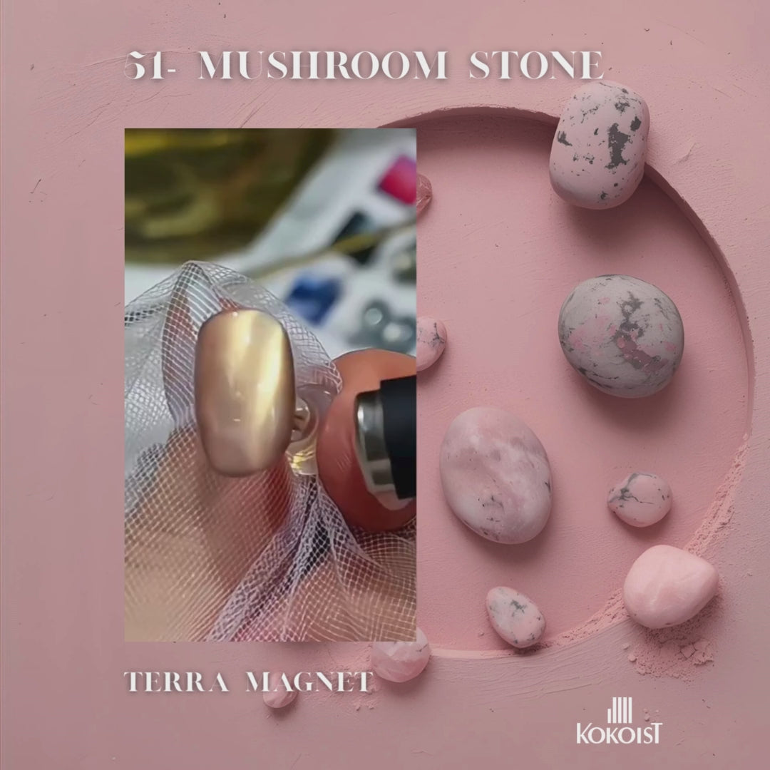 Terra Magnet TM-51 Mushroom Stone