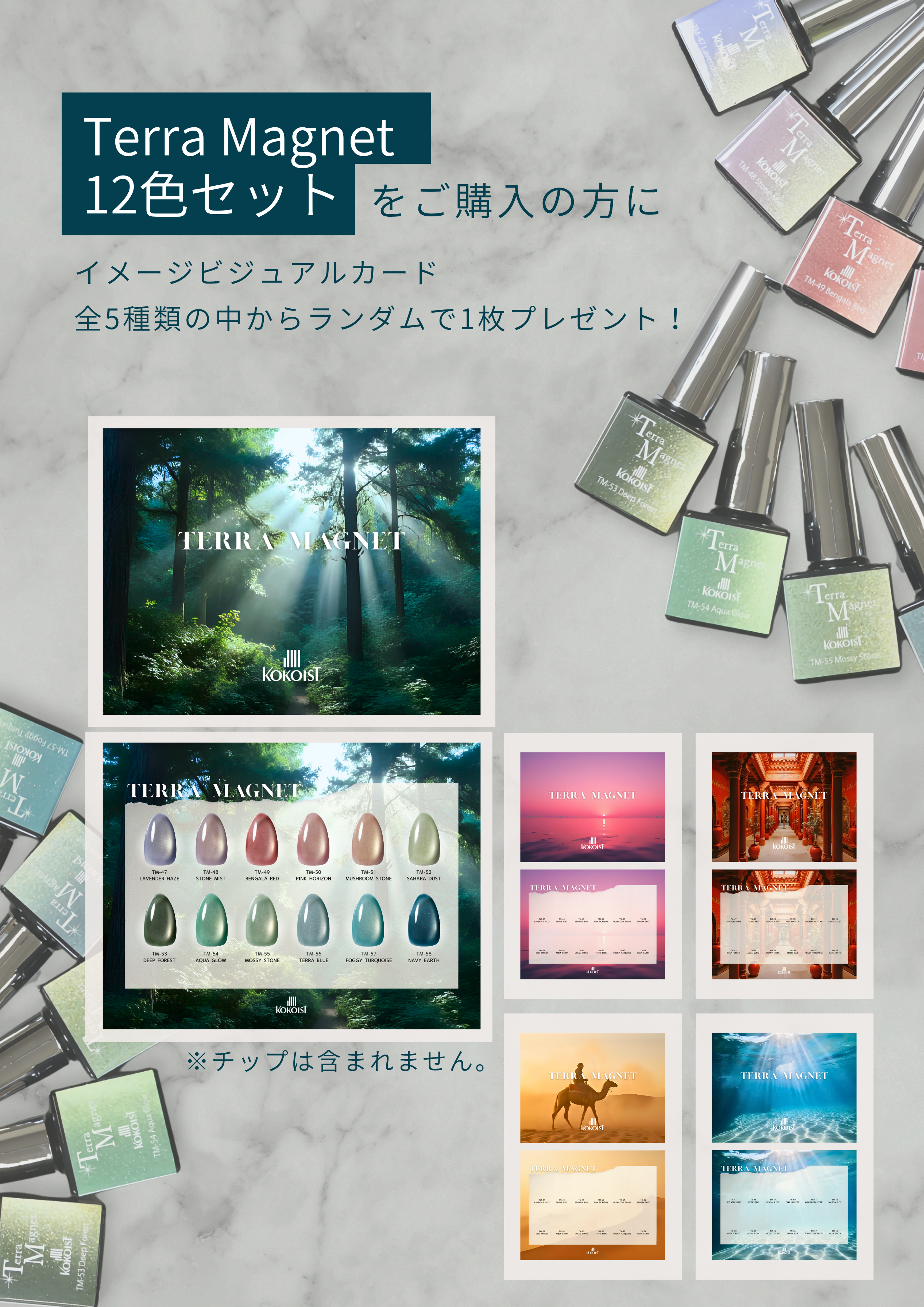 REKOKOKOIST ジェルセット プロフェッショナルのためにプロフェッショナルが作ったジェル